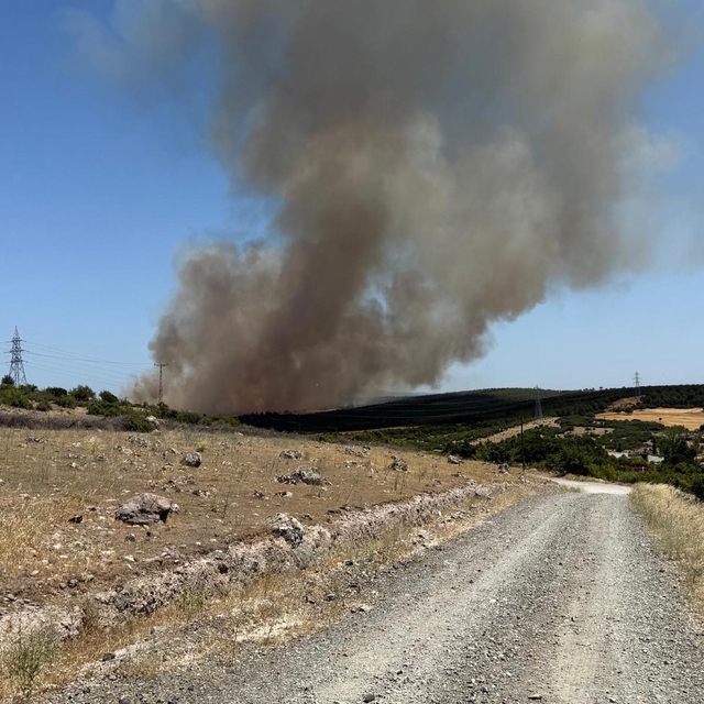 Çanakkale'de orman yangını