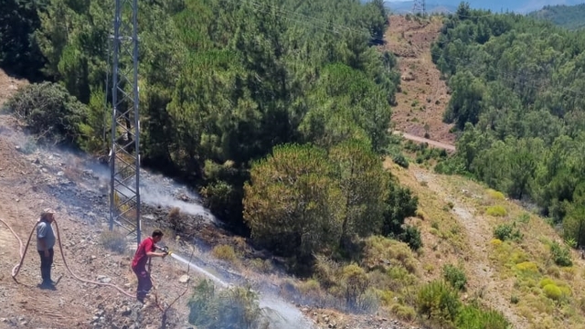 Muğla'da çıkan orman yangını söndürüldü