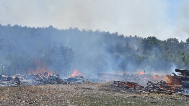 Sakarya'da orman işletme deposunda çıkan ve ağaçlık alana sıçrayan yangına müdahale ediliyor
