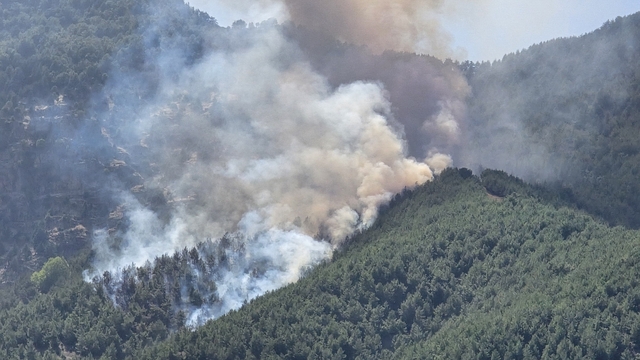 Hatay'da ormanlık alanda yangın çıktı