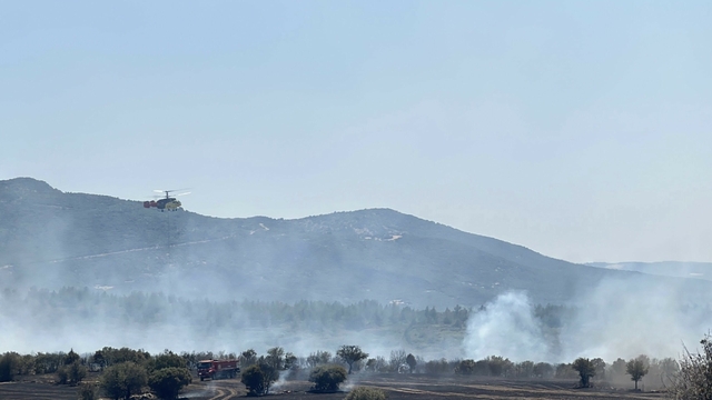 Uşak'ta makilik yangını