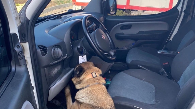 Gizli bölmedeki uyuşturucuyu 'Pako' buldu