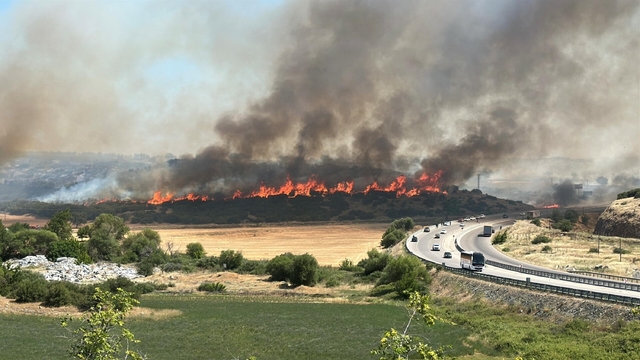 Çanakkale'de orman yangını (2)