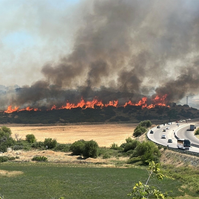 Çanakkale'de orman yangını (2)