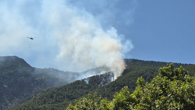 Hatay'da orman yangını (2)