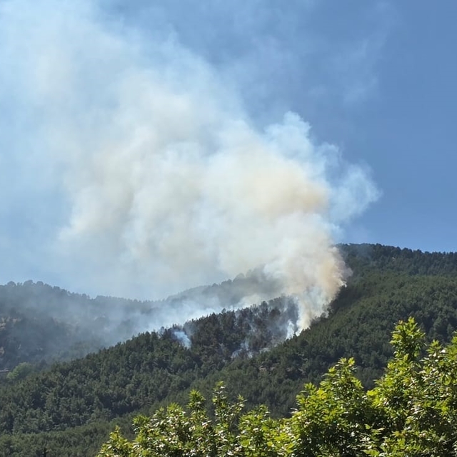Hatay'da orman yangını (2)