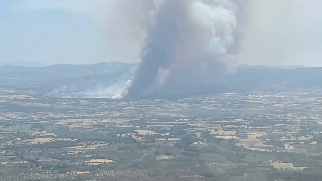 Çanakkale'de orman yangını (3)