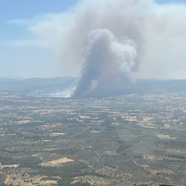 Çanakkale'de orman yangını (3)