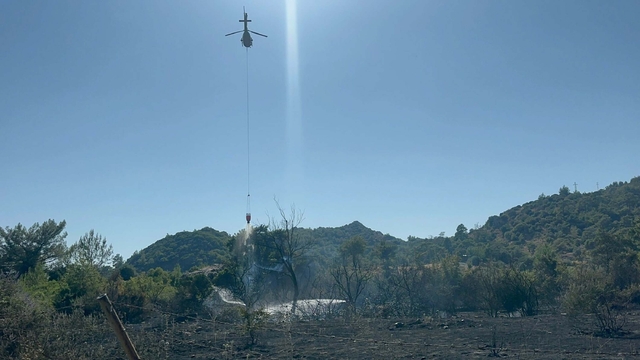 Marmaris'te ot yangını