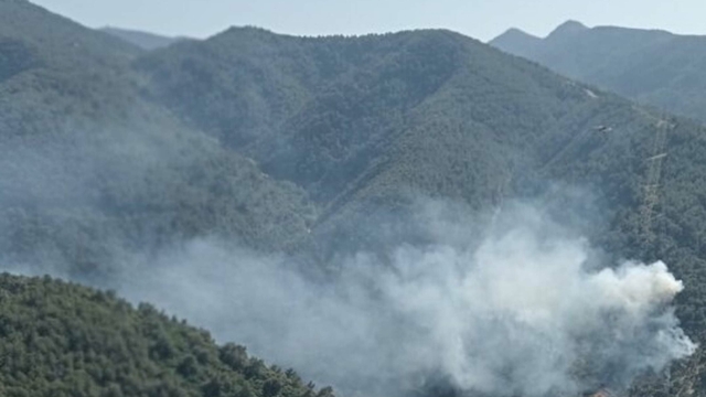 İzmir'de orman yangını