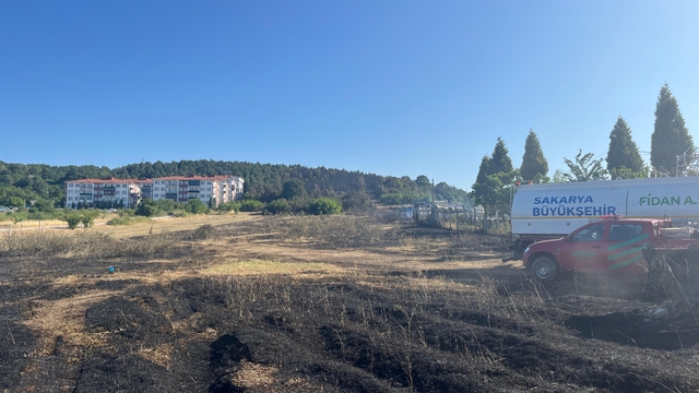Sakarya Orman İşletme Müdürlüğü'nün deposunda yangın; ormana da sıçradı (3)