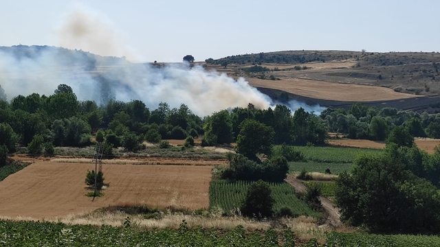 Bursa'da orman yangını (3)