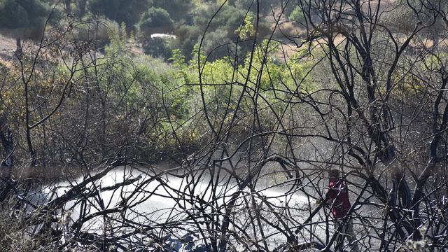 GÜNCELLEME - Marmaris'te çıkan orman yangını kontrol altına alındı