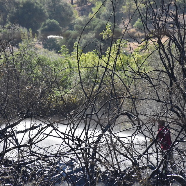 GÜNCELLEME - Marmaris'te çıkan orman yangını kontrol altına alındı