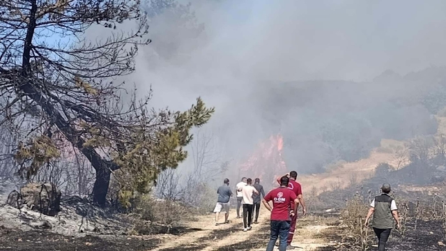 Semaver yakarken ormanı da yakan kadına ev hapsi cezası verildi