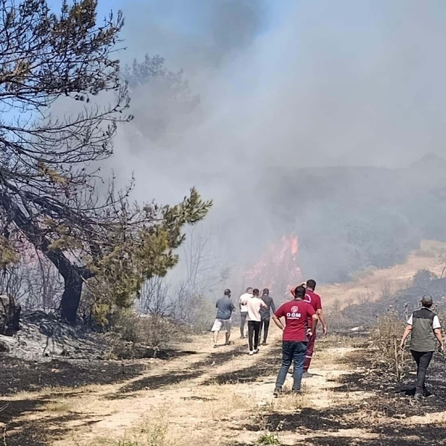 Semaver yakarken ormanı da yakan kadına ev hapsi cezası verildi