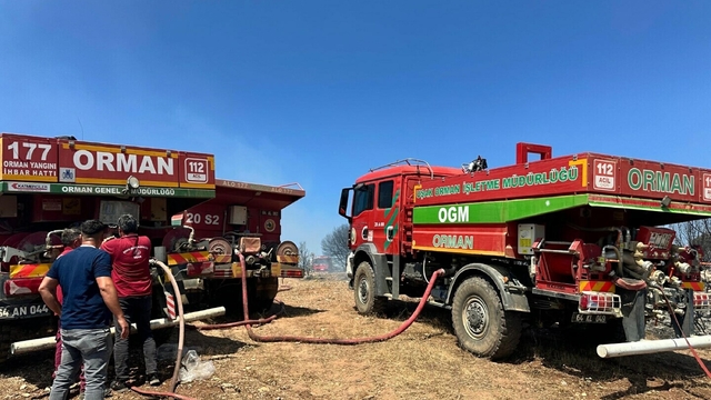 Uşak'ta makilik yangını (2)