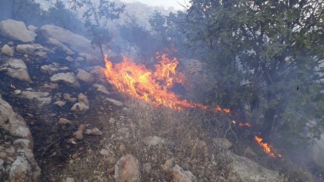Mardin'de örtü yangını