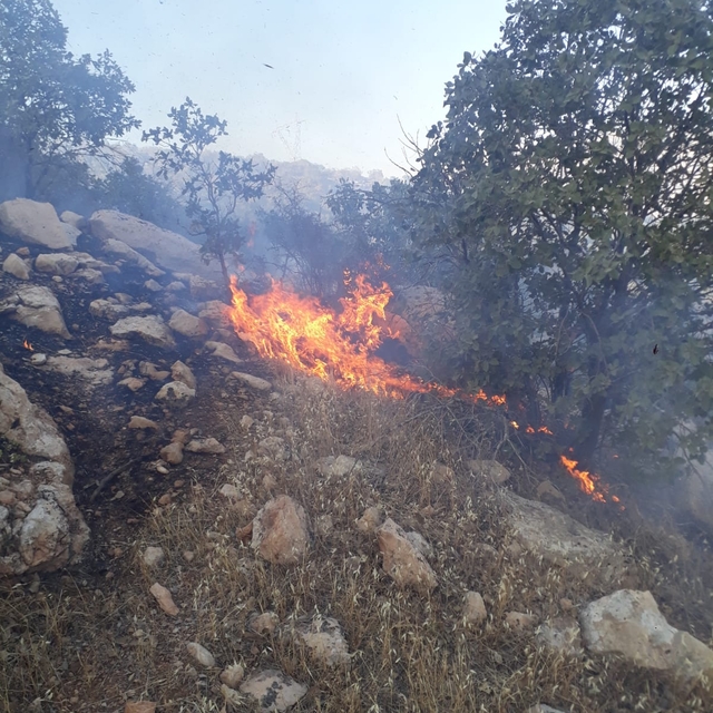 Mardin'de örtü yangını