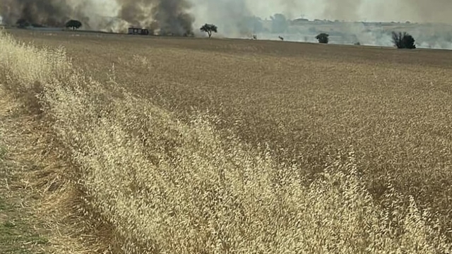 Tekirdağ'da 300 dekar buğday ekili alan yandı