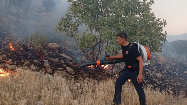 Mardin'de örtü yangını (2)