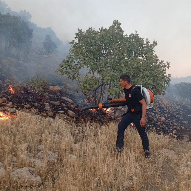 Mardin'de örtü yangını (2)