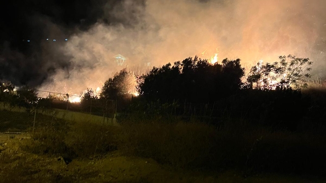 Hatay'da ağaçlık alanda çıkan yangın söndürüldü