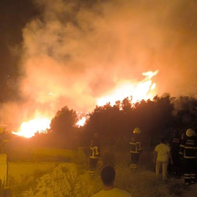 Hatay'da makilik alanda çıkan yangın söndürüldü