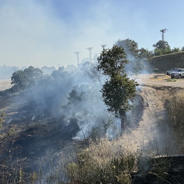 Çan'da otluk alanda çıkan yangın söndürüldü