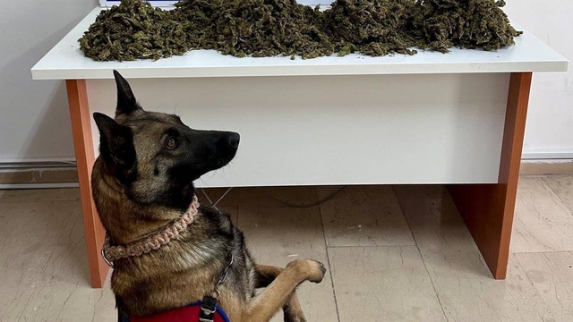 Batman'da aracında uyuşturucu ele geçirilen şüpheli tutuklandı