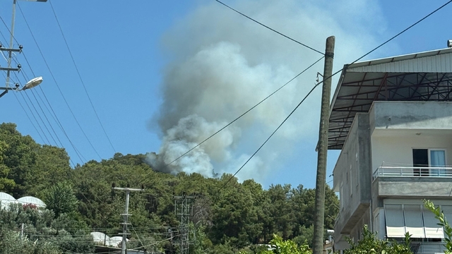 Antalya'da çıkan orman yangınına müdahale ediliyor