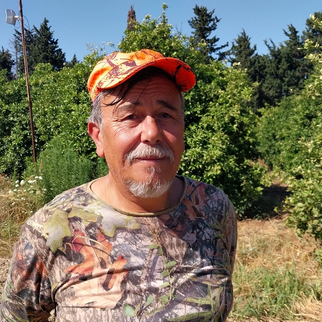 Muğla'da yaban domuzu sürek avı yapıldı