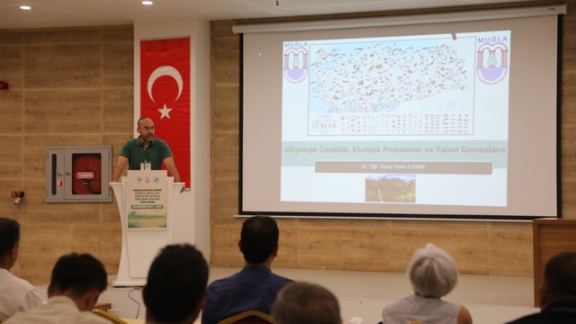 Muğla'da "Yaban domuzlarının ekosistem ve halk sağlığına etkileri" konulu toplantı yapıldı