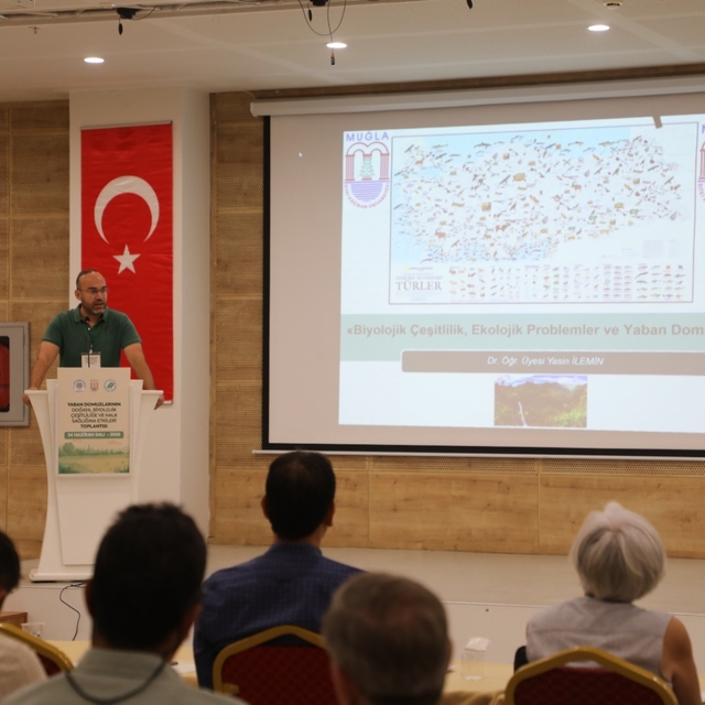 Muğla'da "Yaban domuzlarının ekosistem ve halk sağlığına etkileri" konulu t...