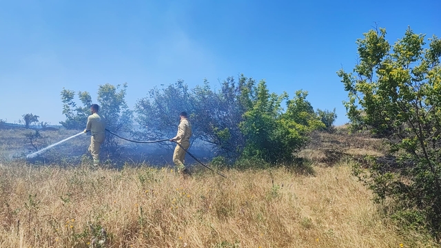 Kırklareli'nde otluk alanda çıkan yangın söndürüldü