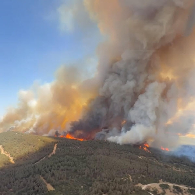 İzmir'de orman yangını