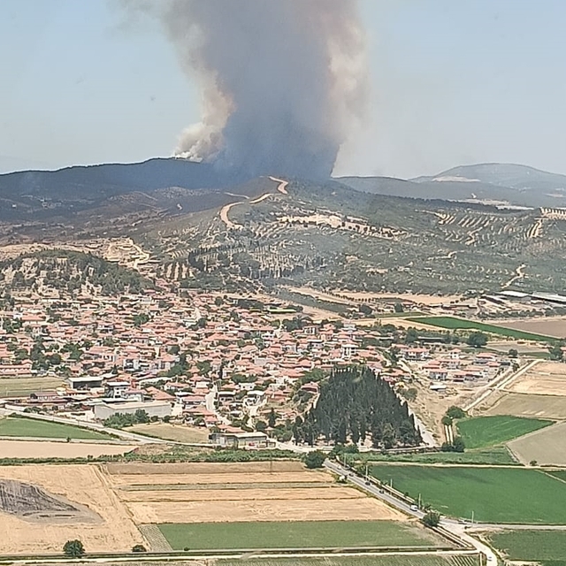 İzmir'in Foça ilçesinde çıkan orman yangınına müdahale ediliyor