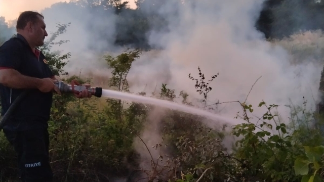 Gerze'de çıkan örtü yangını söndürüldü