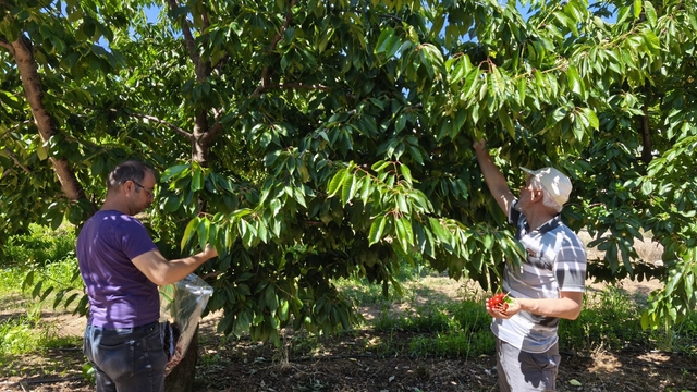 Beyşehir'den kısa kısa