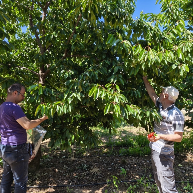 Beyşehir'den kısa kısa