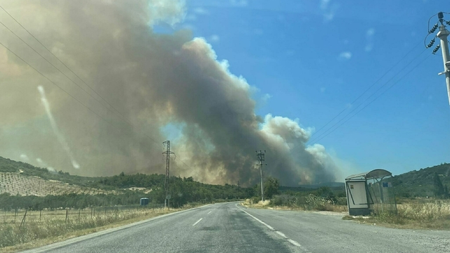 İzmir'de orman yangını (2)
