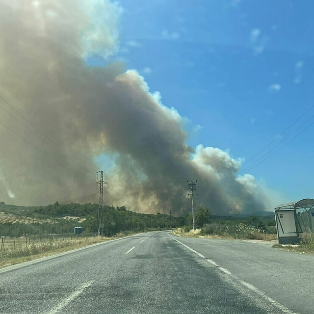 İzmir'de orman yangını (2)