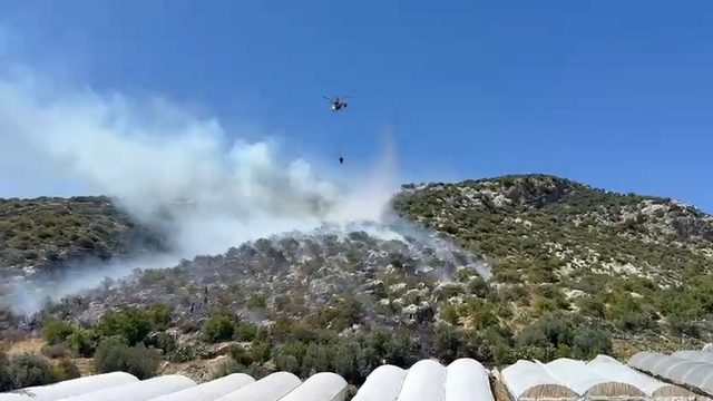 Antalya'da orman yangını (3)