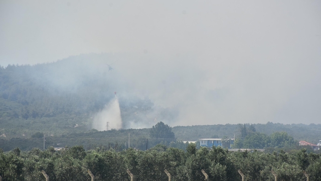 İzmir'de orman yangını (3)