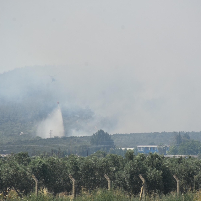 İzmir'de orman yangını (3)