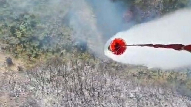 İzmir'de orman yangını (4)