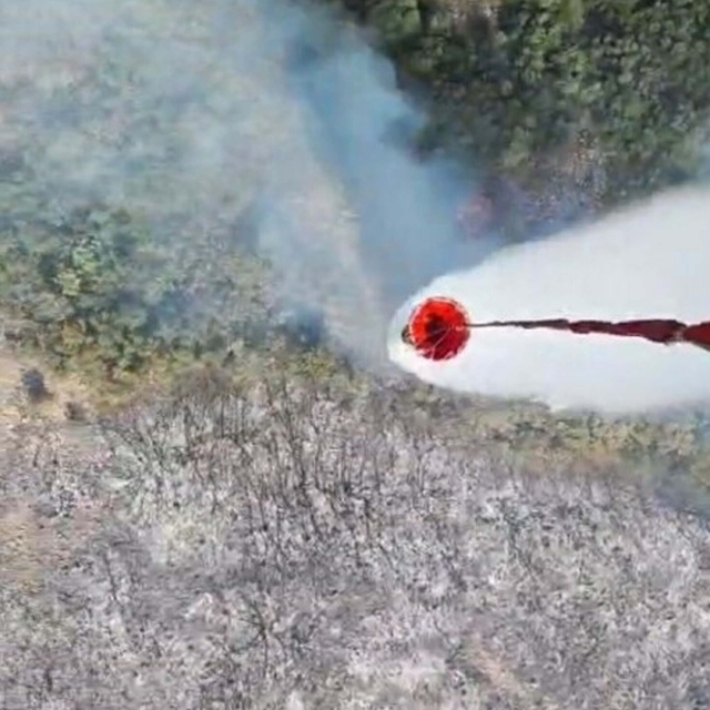 İzmir'de orman yangını (4)