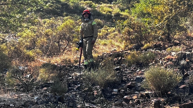 Muğla'da çıkan orman yangını söndürüldü