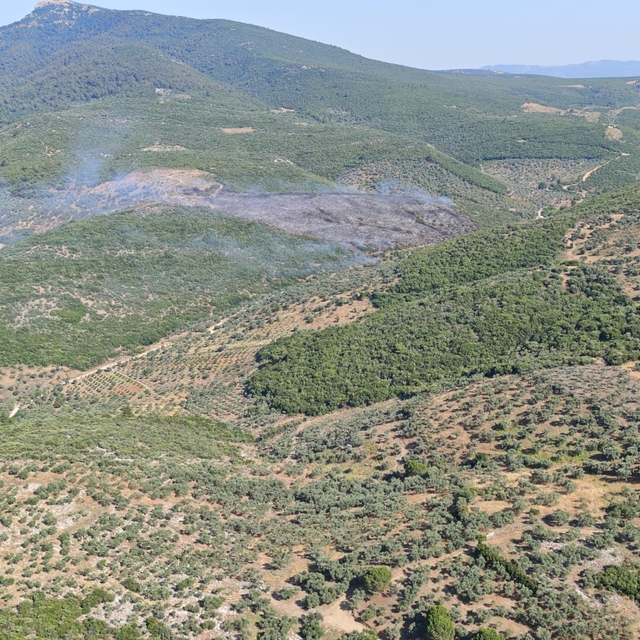 İzmir'in Torbalı ilçesinde çıkan orman yangınına müdahale ediliyor