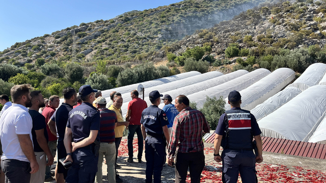 Antalya'da orman yangını (4)